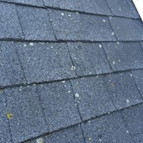 Roofing Services1